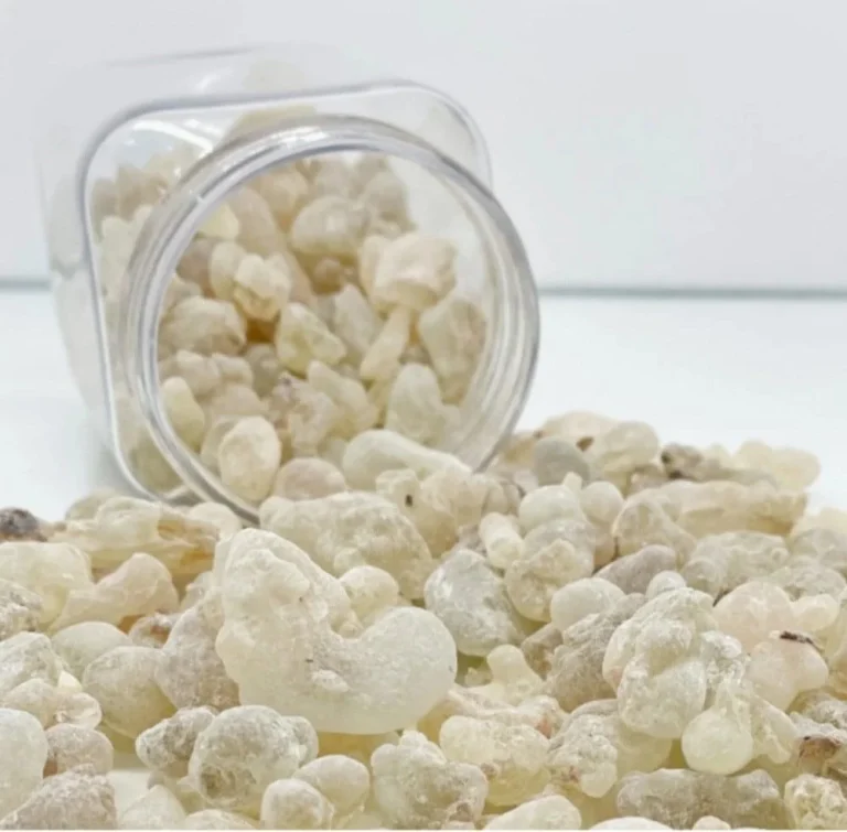 اللبان الحوجري